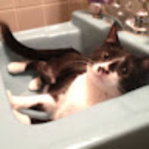 Meet your Posher, S.